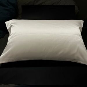 2pc 100% Mulberry Silk Pillowcase Set 6A Grade Silver Gray Invisible Zipper